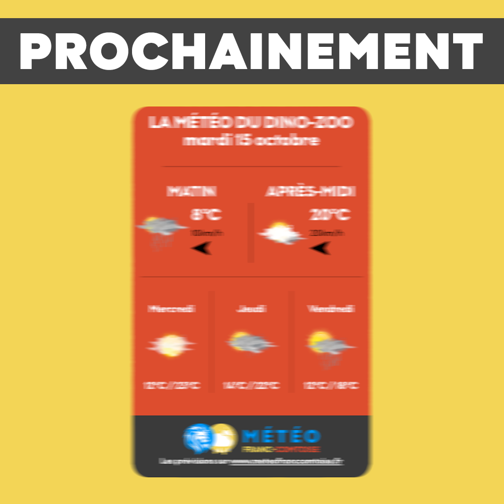 WIDGET MÉTÉO EN LIGNE
